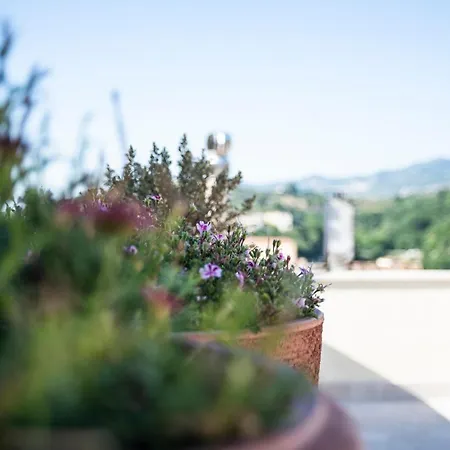 B&B Dimora De Matera Luxury 코센차